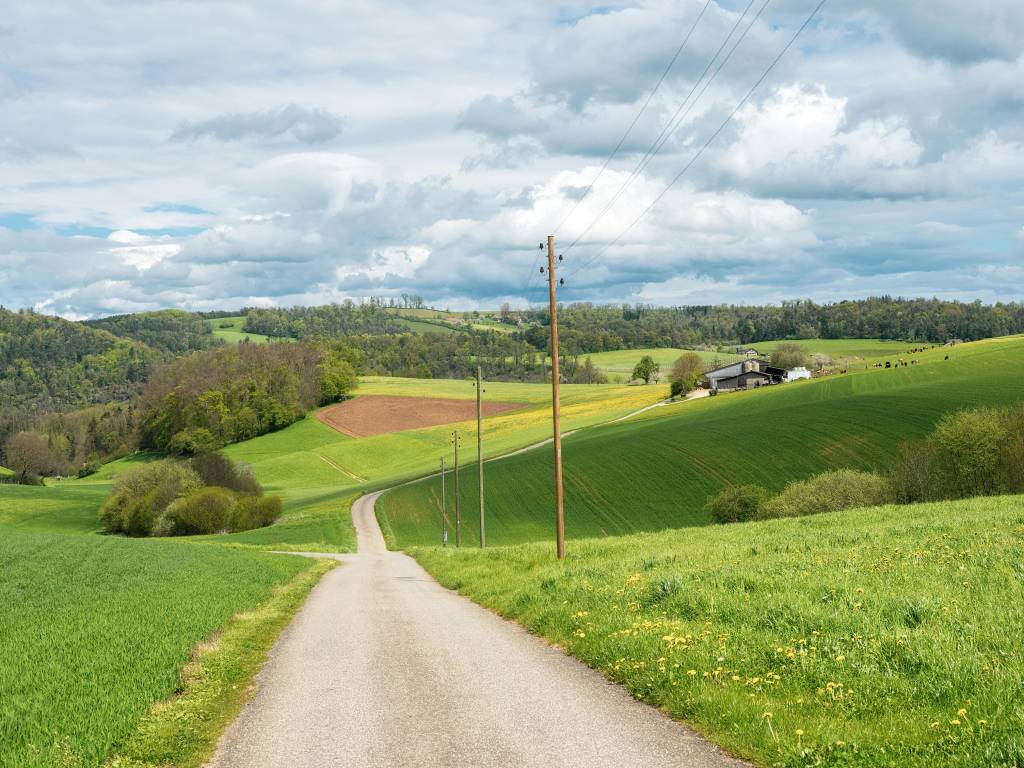 Comment préparer un chantier de fibre optique en zone rurale